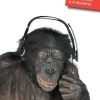 cartolina-monkey-500x400